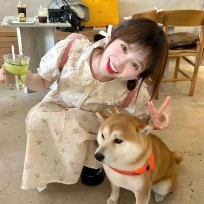 爱情两对半 在线观看